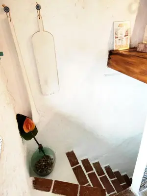 a flower in a green vase on a wall at CasaJulis Chelva in Chelva