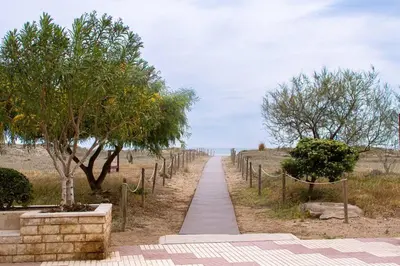 a walking path in a field with trees at Tranquilidad a 2 minutos del mar in Canet de Berenguer