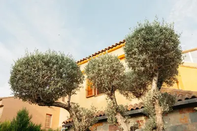 two trees in front of a yellow building at chalet, villa rodeada de naturaleza piscina a doce klm de Valencia y 7 del aeropuerto in Valencia
