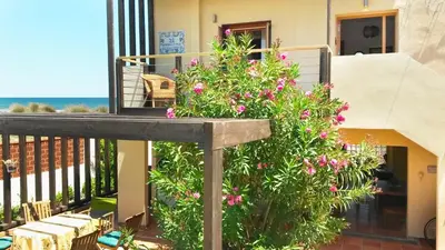 a balcony with a plant with pink flowers at Casa Catinca Cullera - Beach House On the Dune in Cullera