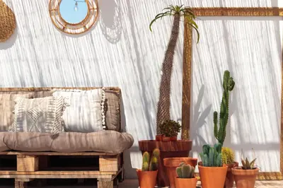 a living room with a couch and a bunch of cactus at Precioso ático en Valencia. in Valencia