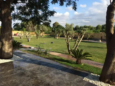 a path through a park with trees and grass at Villas de descanso in Vilamarxant
