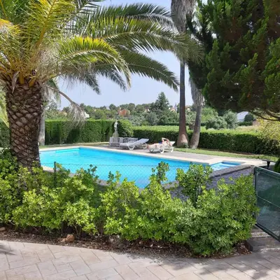 a swimming pool with a palm tree and a person laying on a chair next to at Casa Vitalis in Vilamarxant