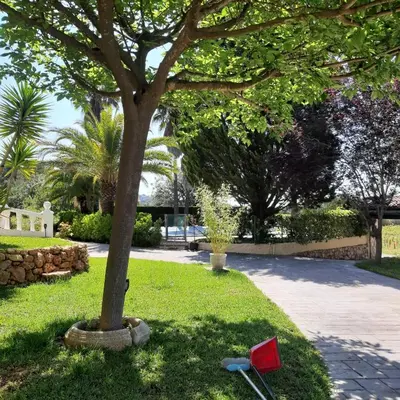 a tree in the grass with a red object next to it at Casa Vitalis in Vilamarxant