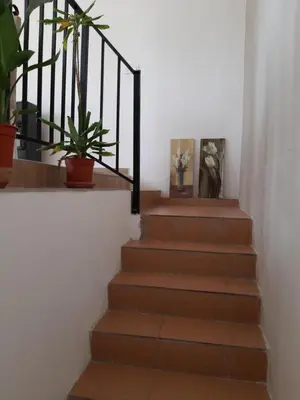 a stairwell with a staircase with plants on it at Casa Vitalis in Vilamarxant