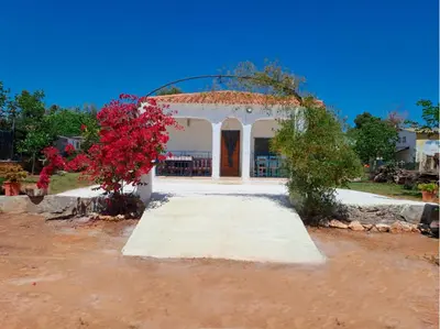 a building with a red flowering tree in front of it at Buganvilla in Valencia