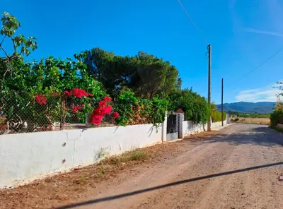 a dirt road with red flowers on a wall at Buganvilla in Valencia