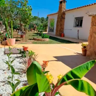Buganvilla