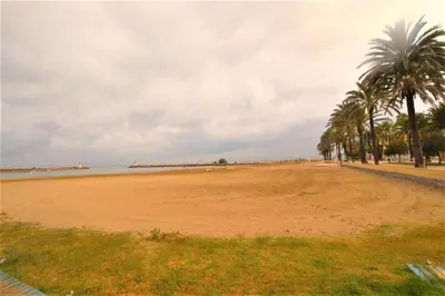 a beach with palm trees and the ocean on a cloudy day at Sun & Sea Puebla in Puebla de Farnals