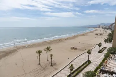 a view of a beach with palm trees and the ocean at El Raco, A-8-16 in Cullera