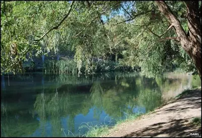 a view of a river with trees over it at VILLA TAMARIT in Pedralba