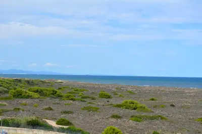 a beach with bushes and the ocean in the background at Hostal Blayet - Hostal Automatizado in Valencia