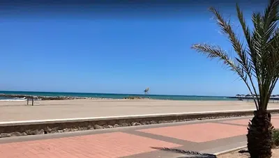 a palm tree sitting next to a beach at Bali Beach Puzol relax en la playa cerca de Sagunto y Valencia in Puzol