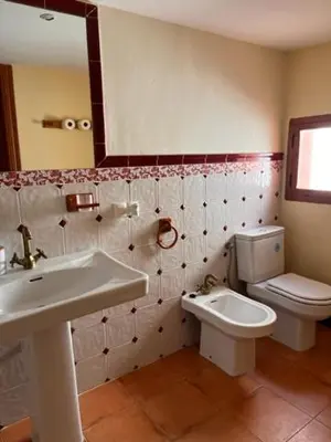 a bathroom with a sink and a toilet and a mirror at Casa rural La Boticaria in Villar del Arzobispo