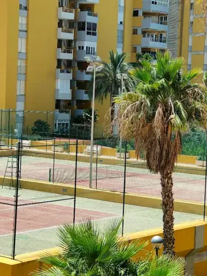 a tennis court with a palm tree on a court at Mar i piscina Canet playa in Canet de Berenguer