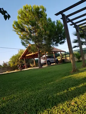 a yard with green grass and a tree and a house at LA TRAMUNTANA CULLERA Playa Marenyet a 300 metros in Valencia