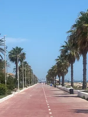 a road with palm trees on the side of it at Casa Ellenita in Las Canteras