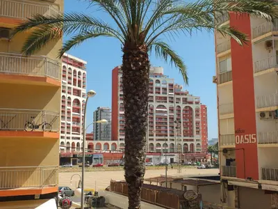 a palm tree in front of some buildings at Neptuno Playa San Antonio in Cullera