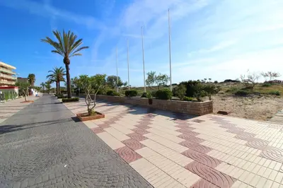 a sidewalk with a palm tree and a building at Global Vacacional, Moderno apartamento con dos terrazas con vistas al mar y a la montaña in Canet de Berenguer