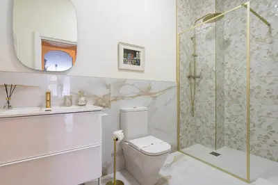 a bathroom with a shower and a toilet and a sink at Le Parisien de COUP DE COEUR APPARTEMENTS in Valencia