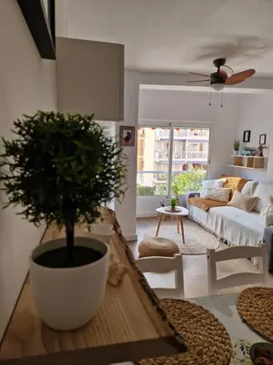 a living room with a potted plant on a table at Cozy Rustic Home in Playa Pobla de Farnals