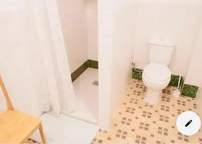 a bathroom with a white toilet and a shower at Habitación doble en Ruzafa con baño privado in Valencia
