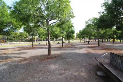a tree in the middle of a park with a bench at Global Vacacional, Apartamento céntrico de 4 dormitorios in Puerto de Sagunto