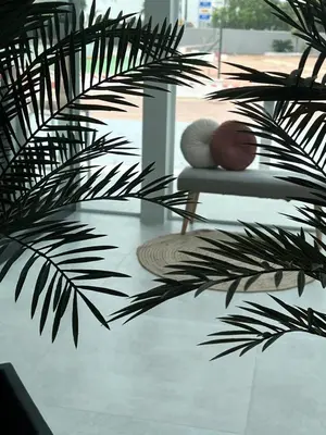 a living room with a couch and a plant at DON LEONE Hotel in Alginet