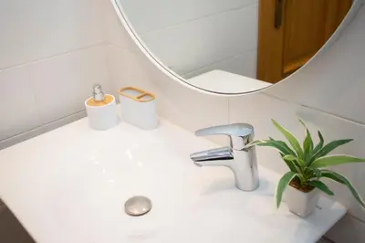 a bathroom sink with a mirror and a plant on it at SingularStays Gran Via in Valencia