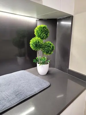 a potted plant sitting on a counter in a kitchen at La Casa Alandí con garaje privado in Sagunto