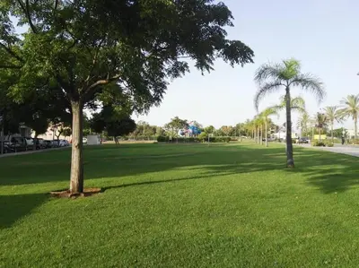 two palm trees in a field of green grass at Luminoso piso en edificio de canet de berenguer in Canet de Berenguer