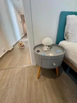 a dog sitting in a room with a table next to a bed at DJcumar Apartamento en Cullera comodo y bien ubicado in Cullera