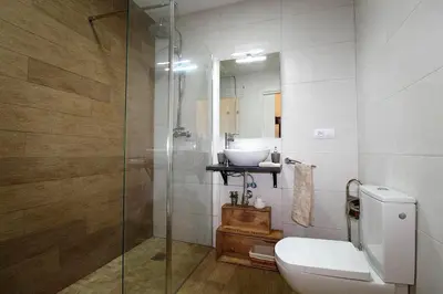a bathroom with a shower and a toilet and a sink at Casa típica del Cabanyal in Valencia