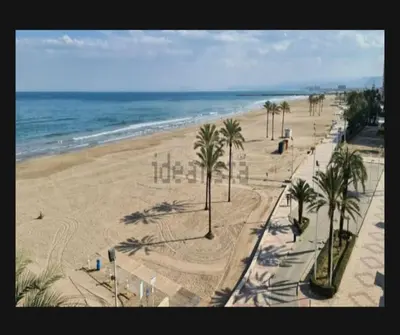 a view of a beach with palm trees and the ocean at Edificio El Sol in Cullera