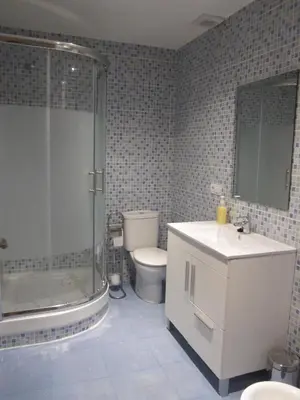 a bathroom with a shower and a toilet and a sink at Apartamentos Abastos in Valencia