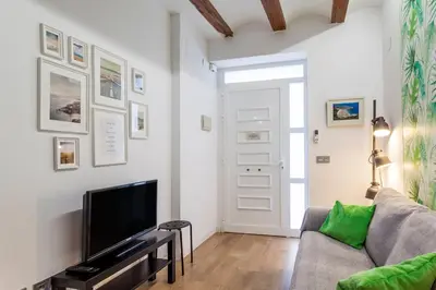 a living room with a couch and a tv at RUZAFA COOL LOFT in Valencia