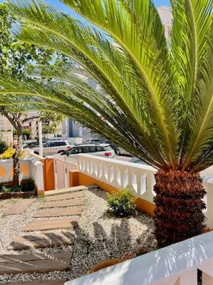 a palm tree sitting next to a white fence at 3-bedroom apartment with terrace on ground floor in Moncófar