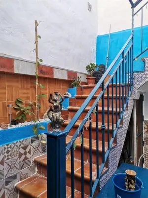a set of stairs with potted plants on them at ROSA in Llaurí