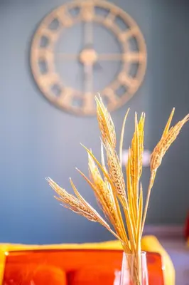 a vase with a plant in front of a clock at Amazing Apartment with aFun and Friendly Atmosphere in Valencia