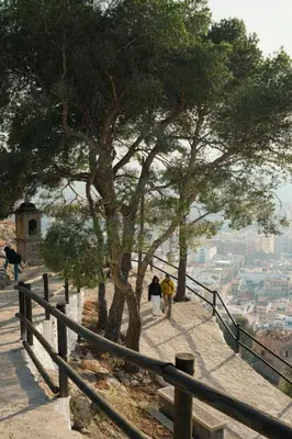two people walking up a hill with a tree at NUEVO, a 80 metros del mar y la playa in Cullera
