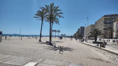 a beach with palm trees and people sitting on the sand at Apartamento Horizonte Azul Cullera in Cullera