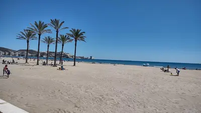 a group of people on a beach with palm trees at Apartamento Horizonte Azul Cullera in Cullera