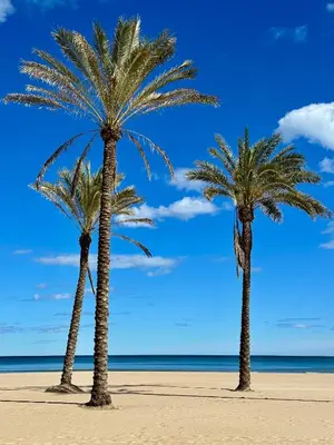 two palm trees on a sandy beach near the ocean at Apartamento mar&menta in Cullera