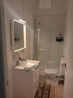 a bathroom with a sink and a toilet and a shower at Apartamento muy céntrico en Valencia junto a Ruzafa in Valencia