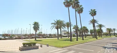 a park with palm trees and a street at V&M Canet in Canet de Berenguer