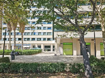 a building with a tree in front of it at Apartamentos Las Ciencias I in Valencia