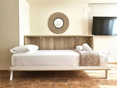 a bedroom with a bed with a mirror on the wall at Apartamentos Las Ciencias C in Valencia