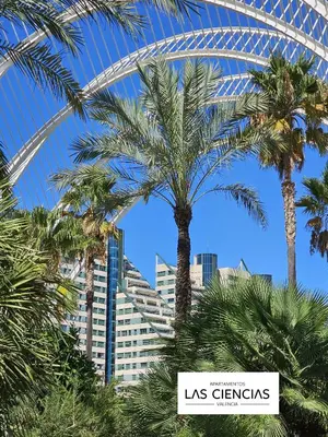 a sign with palm trees in front of a building at Apartamentos Las Ciencias C in Valencia