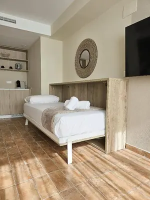 a bedroom with a bed and a flat screen tv at Apartamentos Las Ciencias D in Valencia