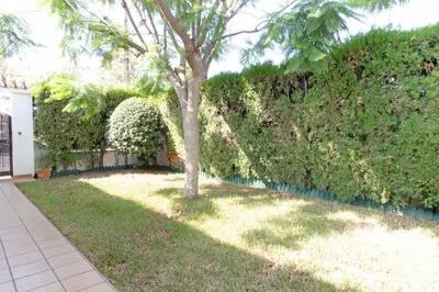 a tree in a yard next to a fence at Global Vacacional, Adosado con piscina en la playa de Canet in Canet de Berenguer